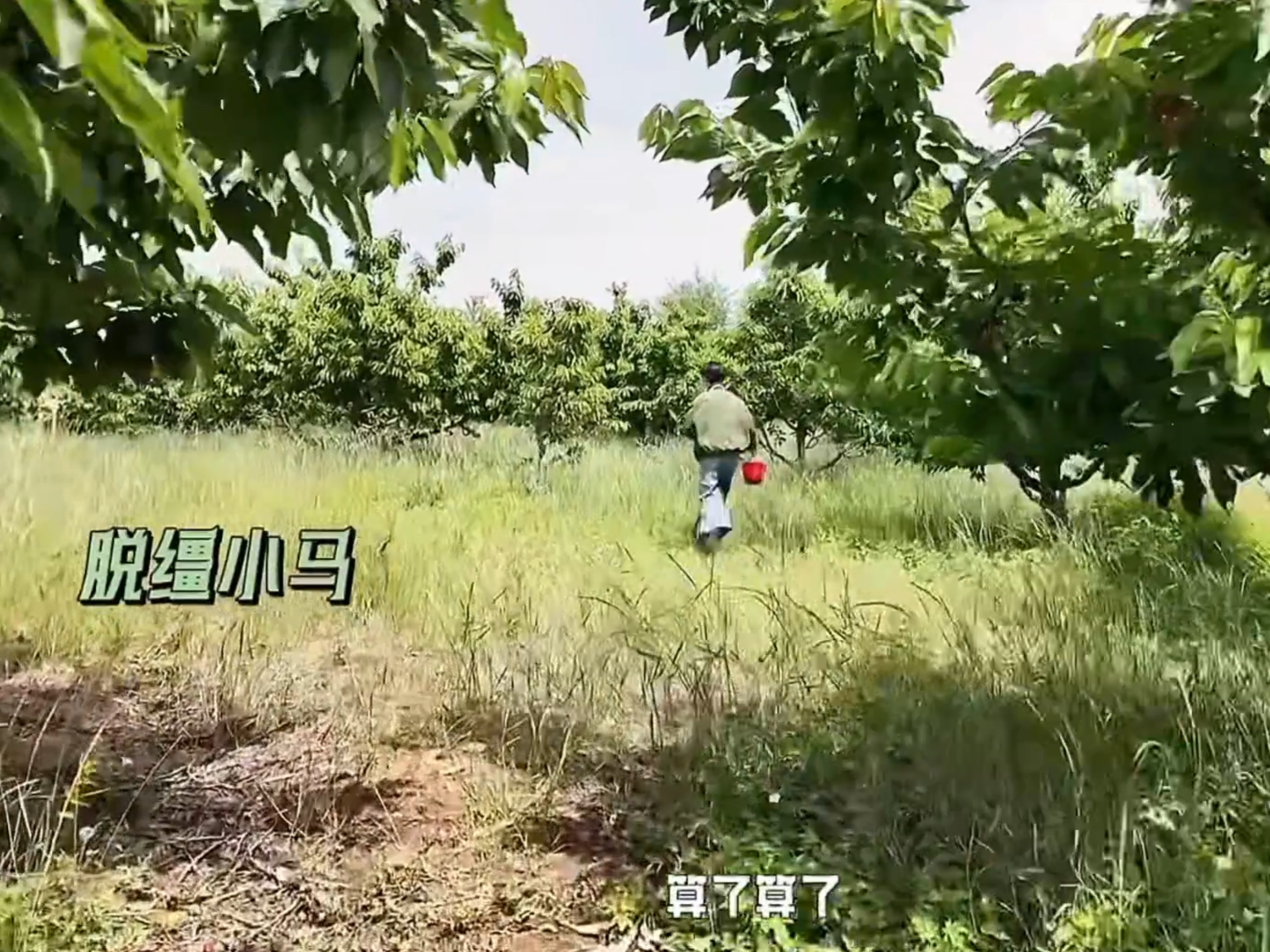 🐎开跑前的村长:我来了小马!😄🐎开跑后的村长:这年轻人…算了算了😥（然而