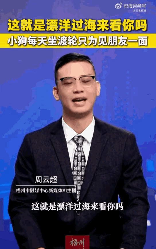 湖北这只“神狗”火了！每天搭轮渡过江找哥们，错过末班船竟跳江游回家！

你敢信？