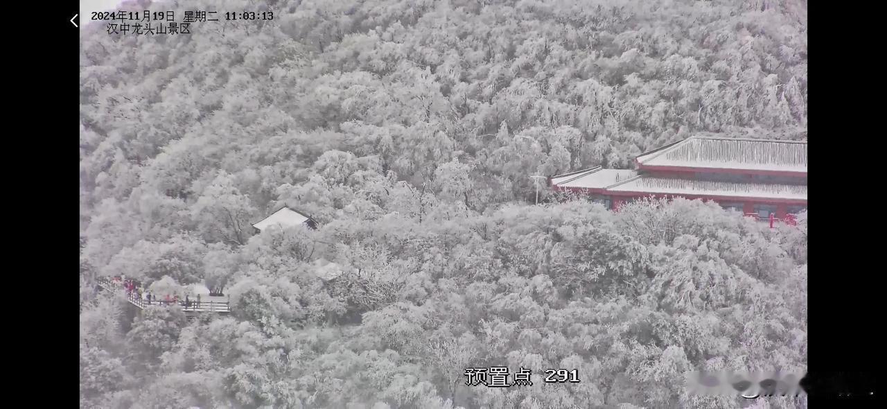 龙头山的雪景又来啦！ 汉中王牌雪景游览胜地！ 刚走监控里面查看的实况景色，有云海