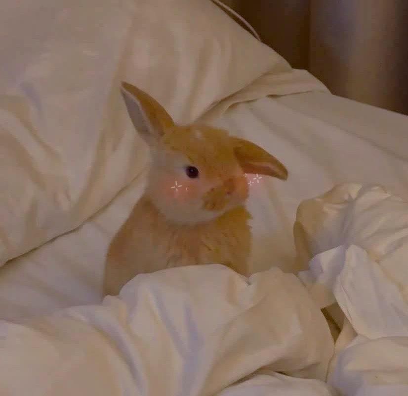 群秀 早上从床上醒来迷迷糊糊的小程秀触碰着隔壁的余温还在回味昨晚邵群从胸肌滑落的