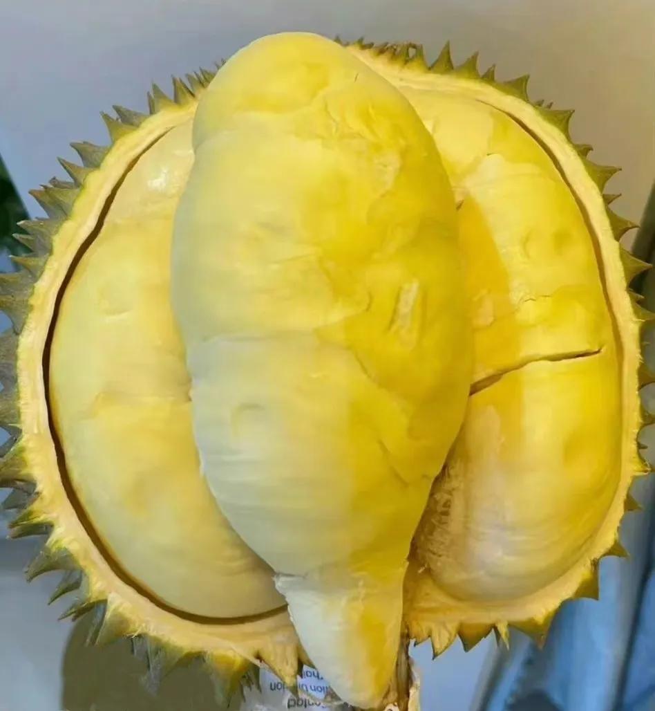 这做人呐
要活得像榴莲一样
外表带刺，内心却很甜
不用所有人喜欢
但让喜欢的人很