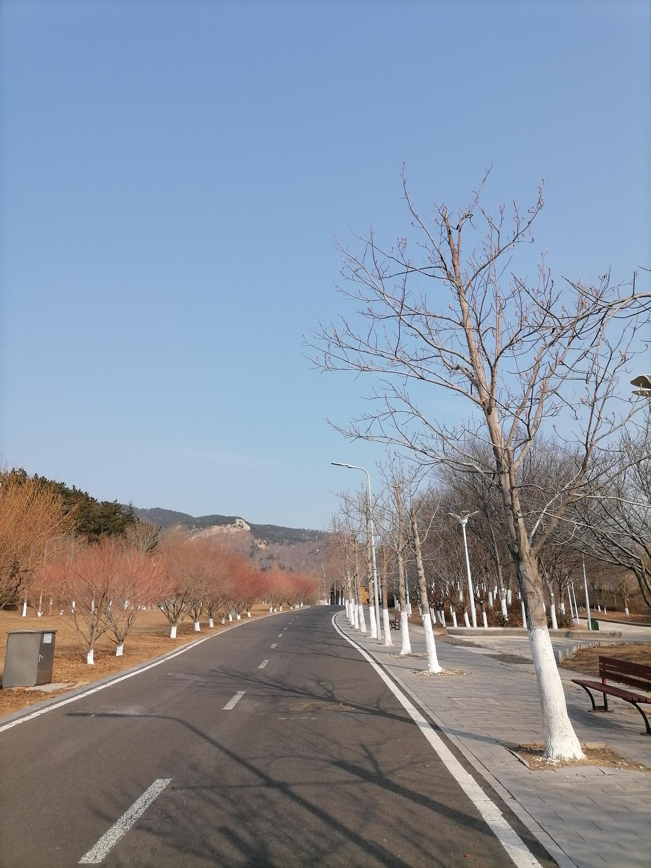 今天几乎被骗，想起来后怕。
今天端午节，闲着无聊，我和老伴去中山公园去游玩。
公