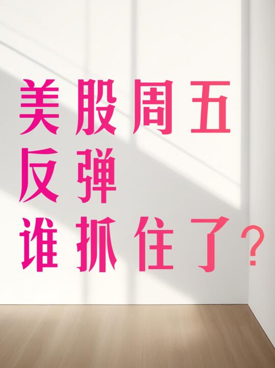 美股周五反弹📈谁抓住了❓