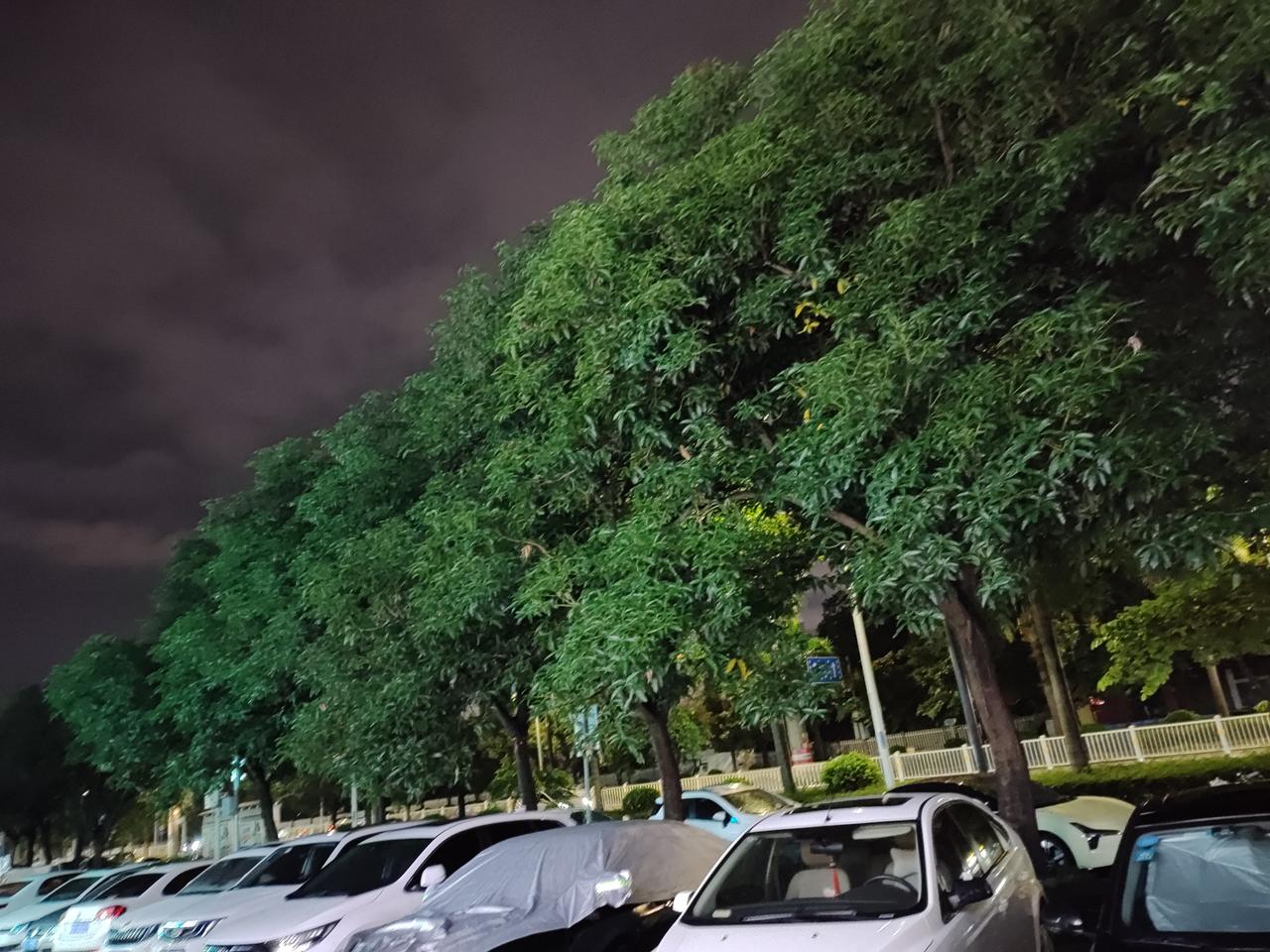 十五年前，拿20万元开店，一般都是自己的钱，计划着每年赚个20万以上，奔着小康而