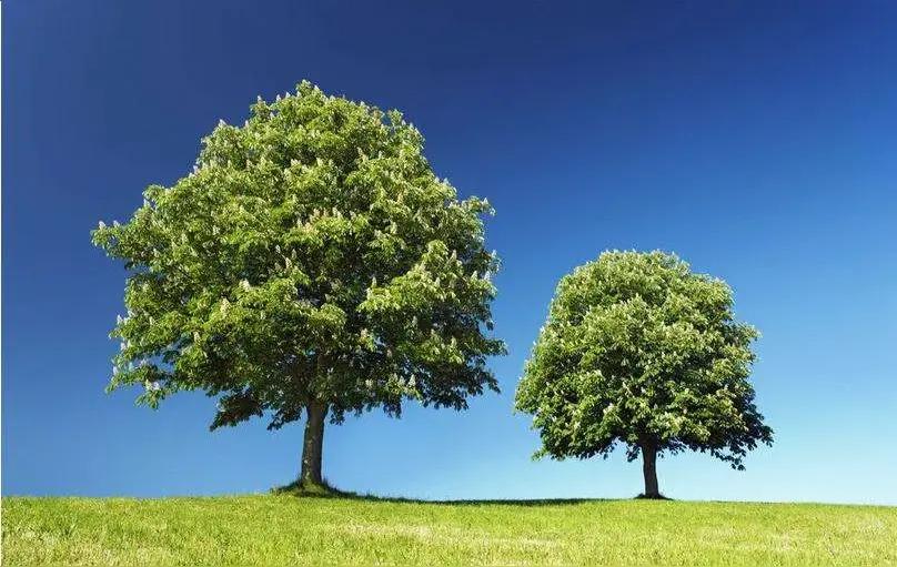 高三女生小宋告诉记者：
学习很困难，真的很困难，很努力地学习，成绩还是倒数
“看