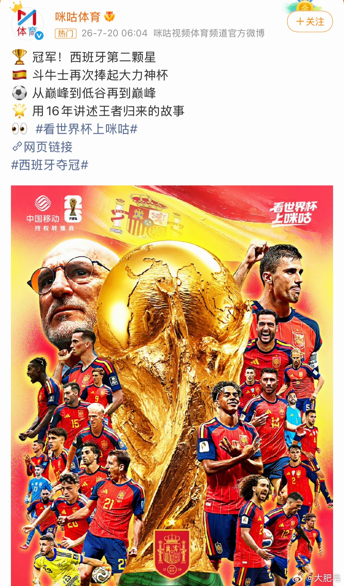 西班牙冠军 欧洲杯、世界杯冠军！恭喜西班牙，真厉害！ 