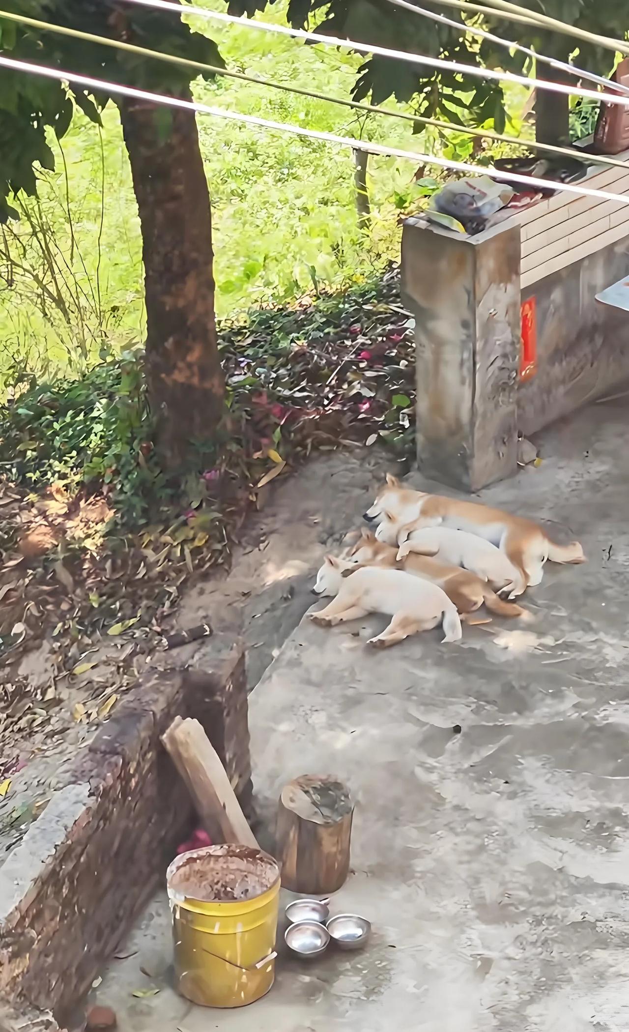 你们说，什么才是幸福呢？