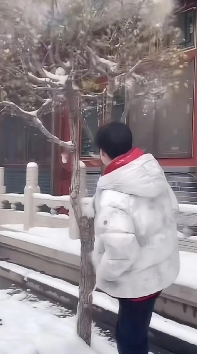 [炸弹]可爱的莎莎，充满孩子气的姑娘

[莎莎是个充满孩子气的姑娘。看到有雪的树
