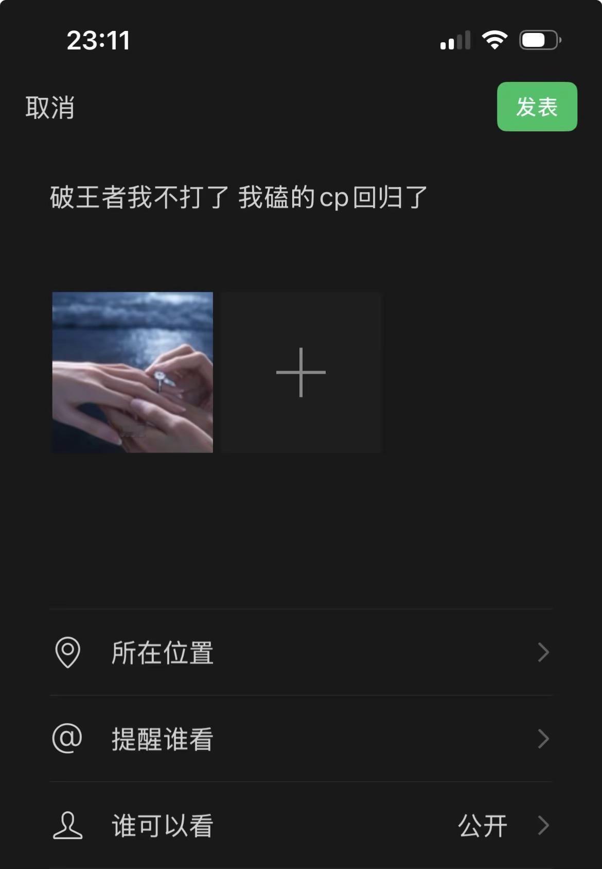 破王者我不打了 我磕的cp回归了fyp予你深情侵入余生 段宴