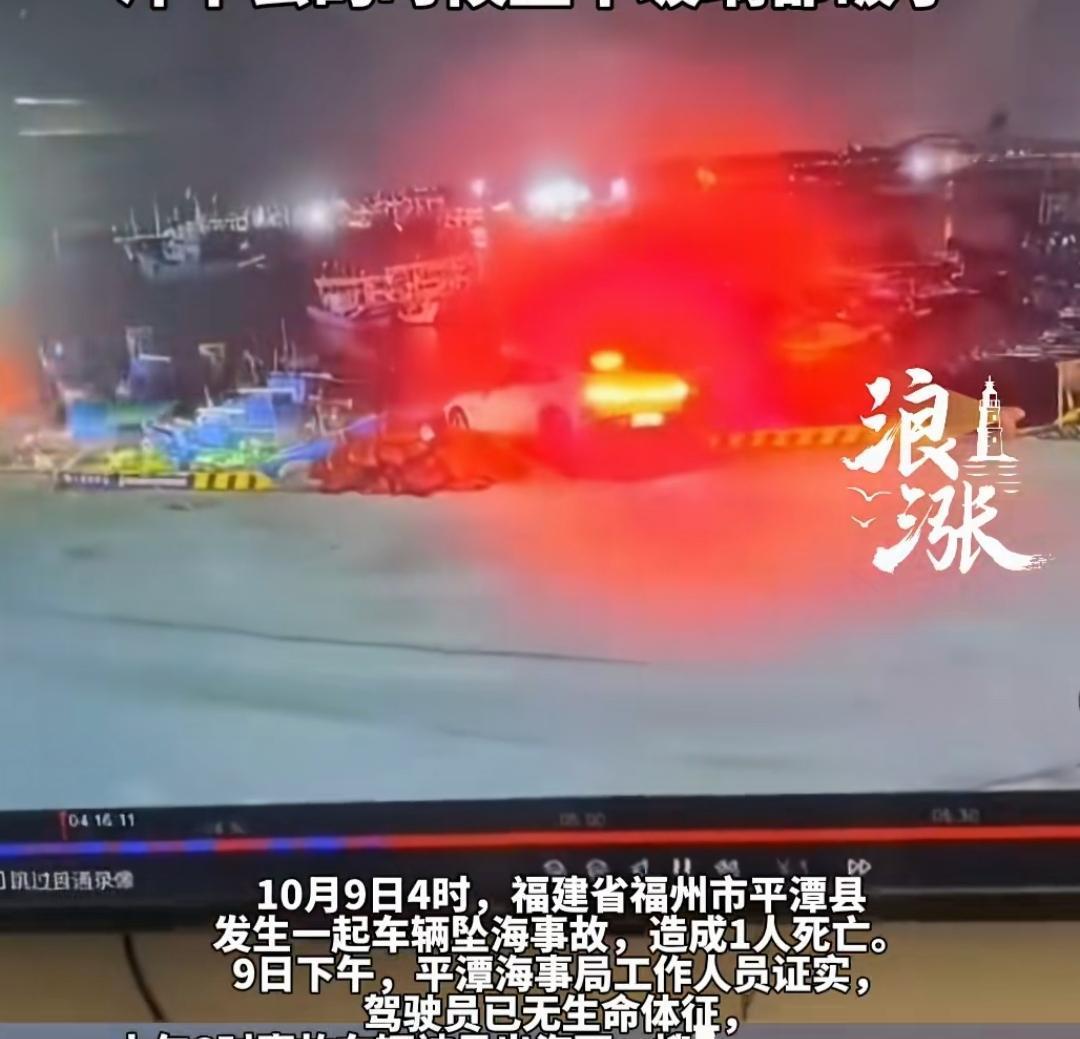 车主身亡 看着速度也不快啊，刹车灯亮着灯呢，感觉这速度也能刹住吧，怎么却没刹住呢