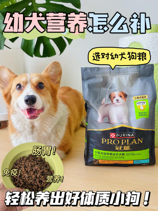 怒囤三袋❗️深扒冠能幼犬狗粮营养到底怎么样