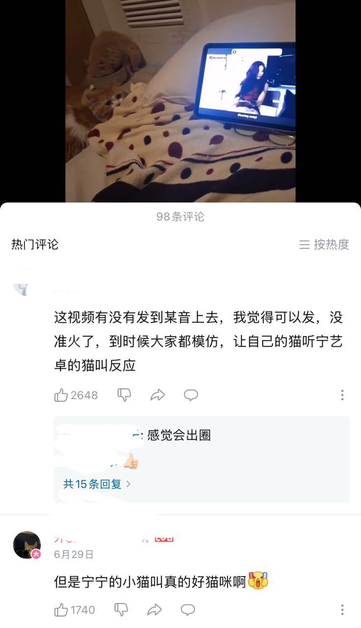 感觉会出圈 ​​​