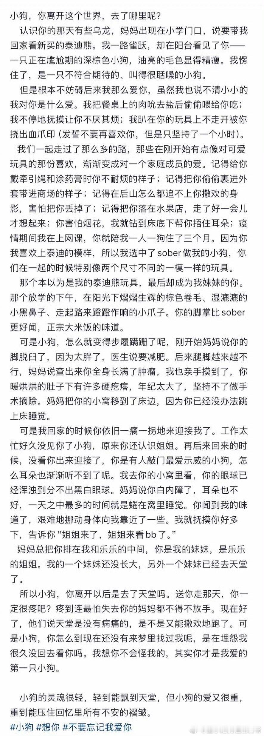 沈羽洁文笔沈羽洁真的是个好会表达的人啊，她写的过的字就像会发光一样，温柔细腻，真