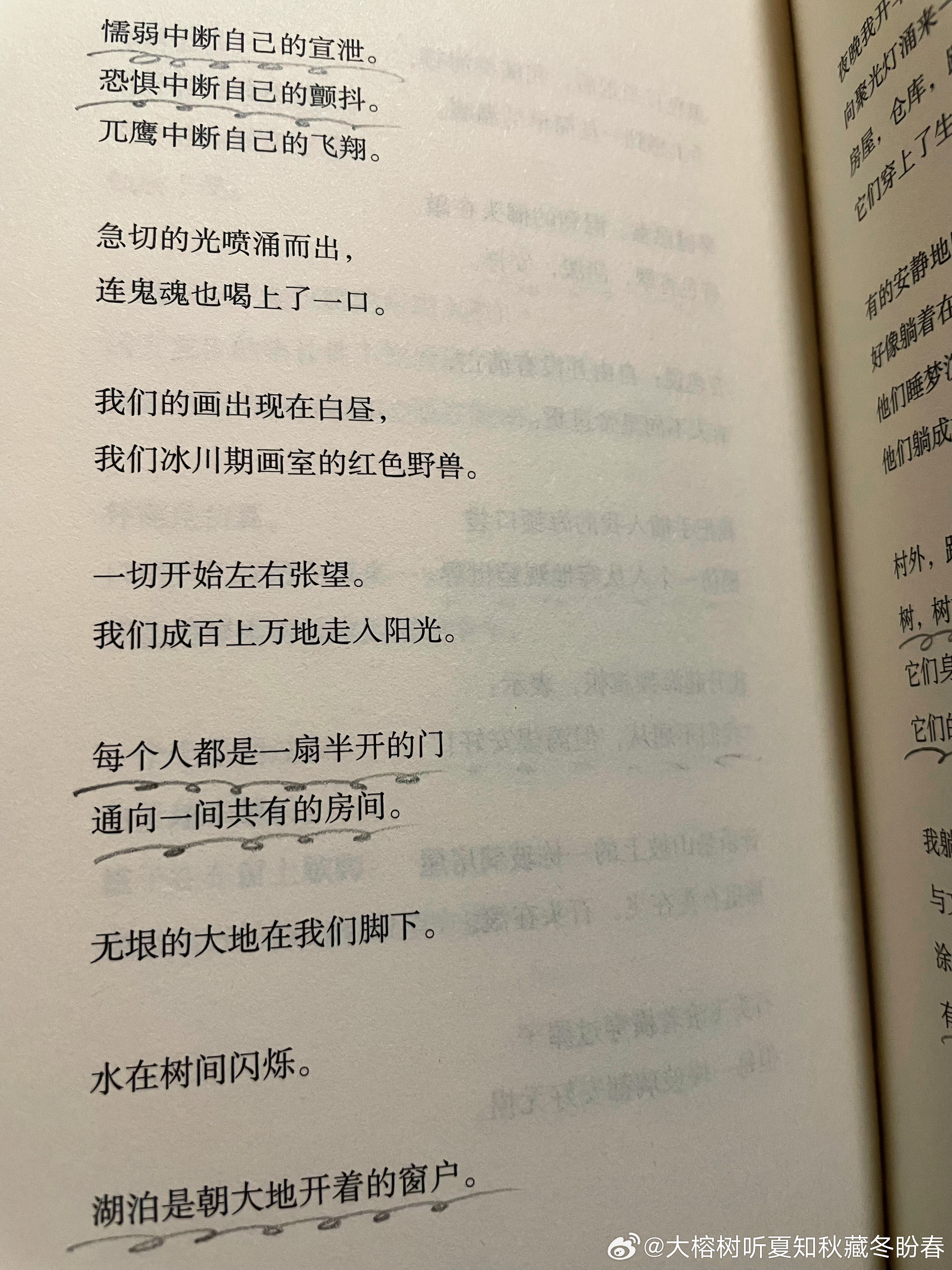 🔖“作品真正改变人的方式，并不是告诉你定义，而是给了你一种新的理解世界的画面。