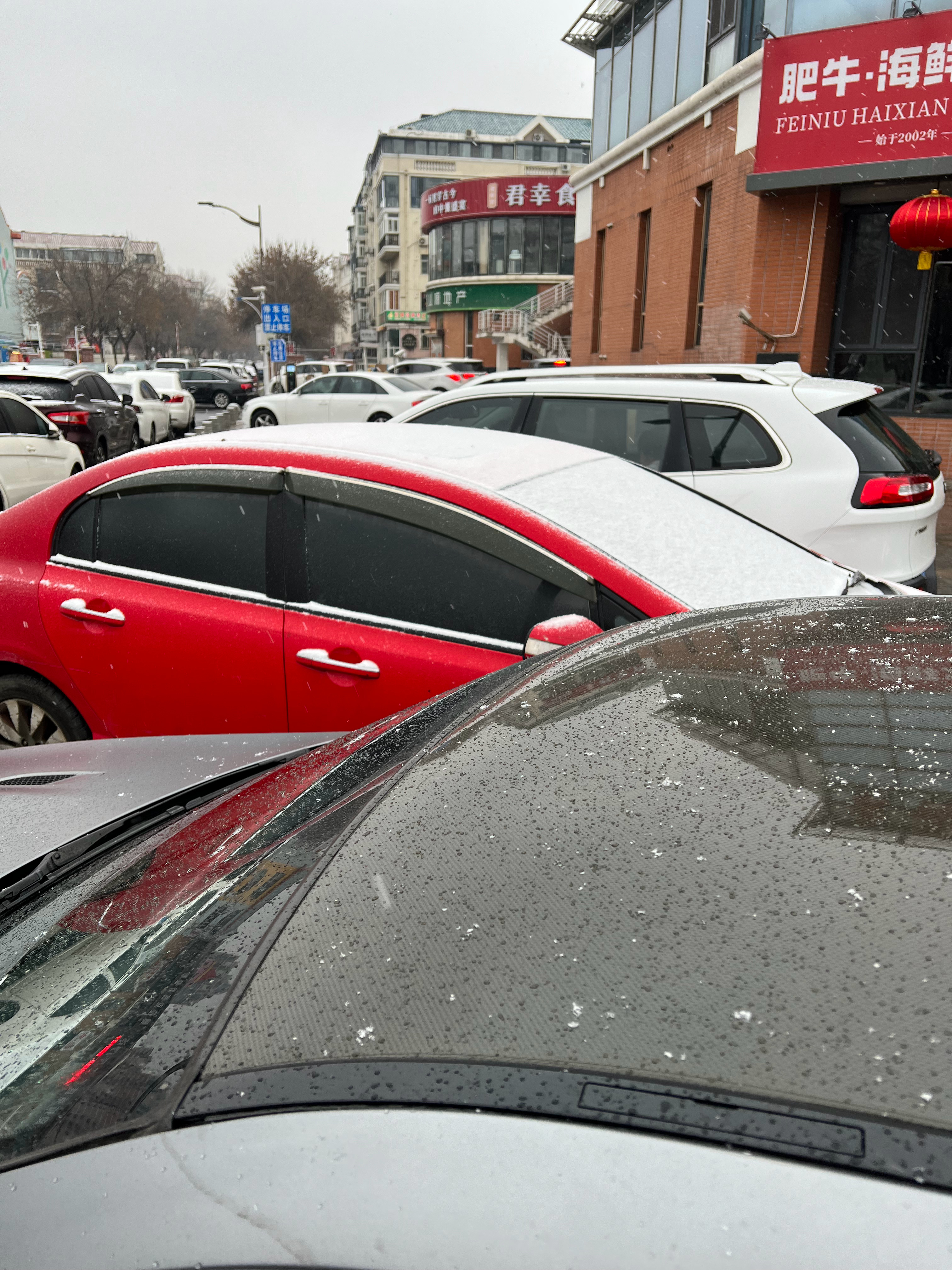 ❄️，天津又下雪了这应该是最后一场了吧 天津