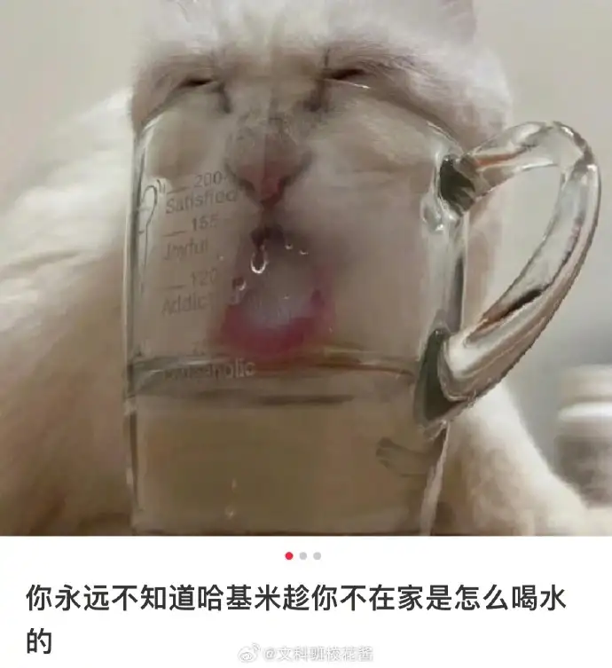 <img src=