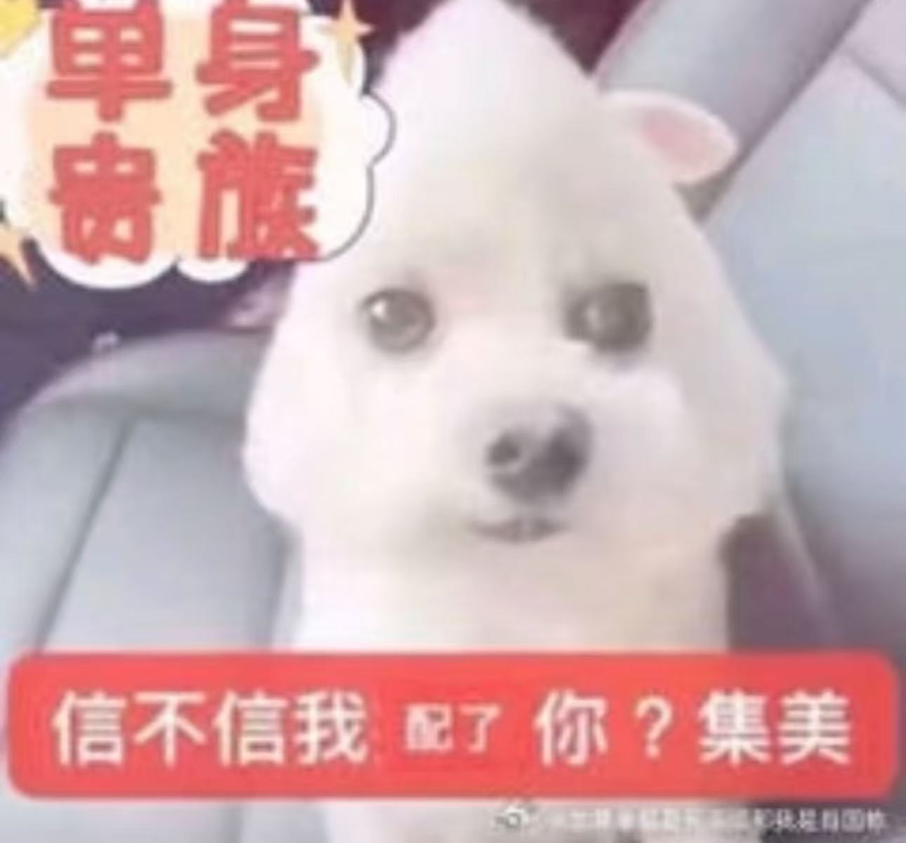 进攻型人格 