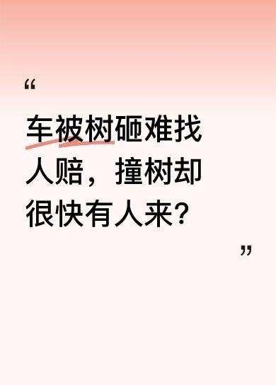 有人说，如果车停路边被树砸了，找人赔偿一天都难找出负责人；但要是不小心把树撞了，