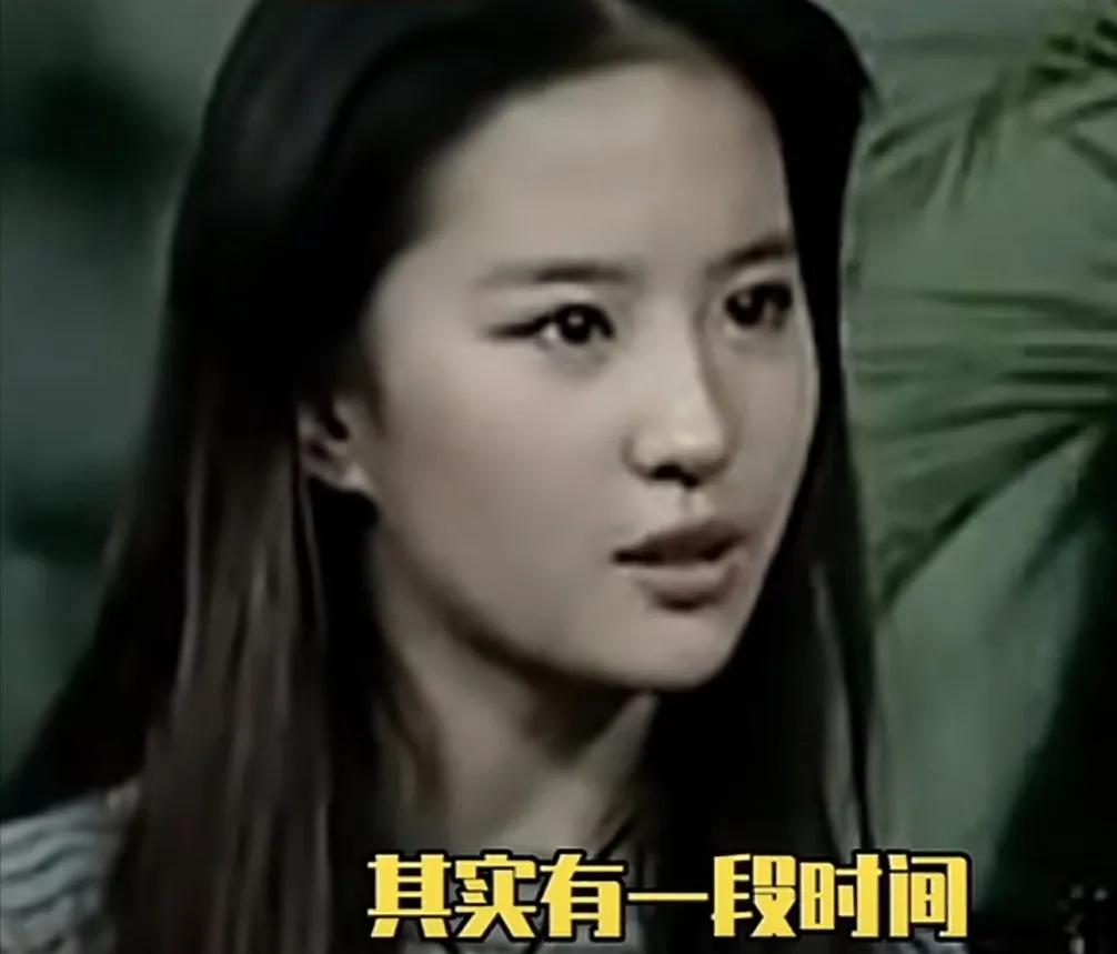 刘亦菲透露：“ 其实有一段时间，有几个韩国女孩总是跟我为难，我特别特别郁闷那段时