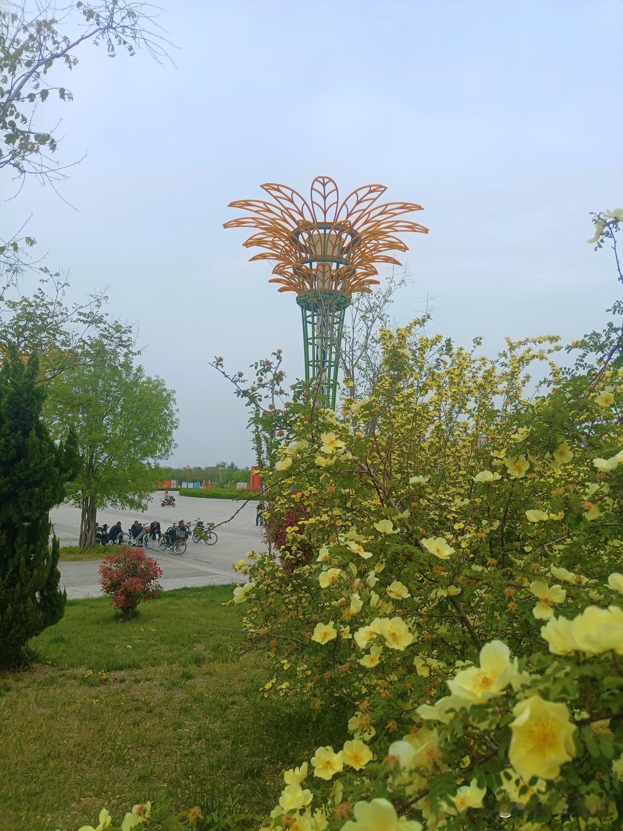 驱车二百公里赴平阴，只为赴一场玫瑰之约，奈何花期未到，只余绿意满怀。悻悻折返夏津