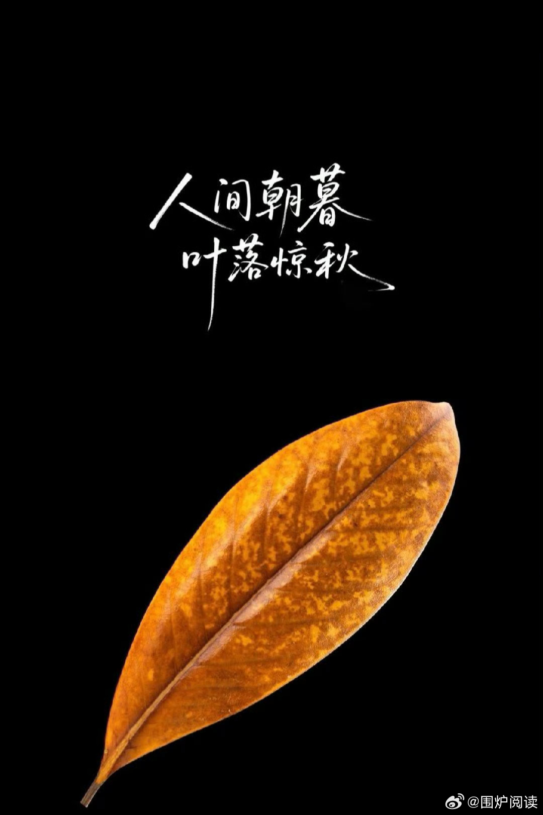 一朝一夕度岁月，一叶知秋懂人生，看淡朝夕得失，安稳便是圆满。 