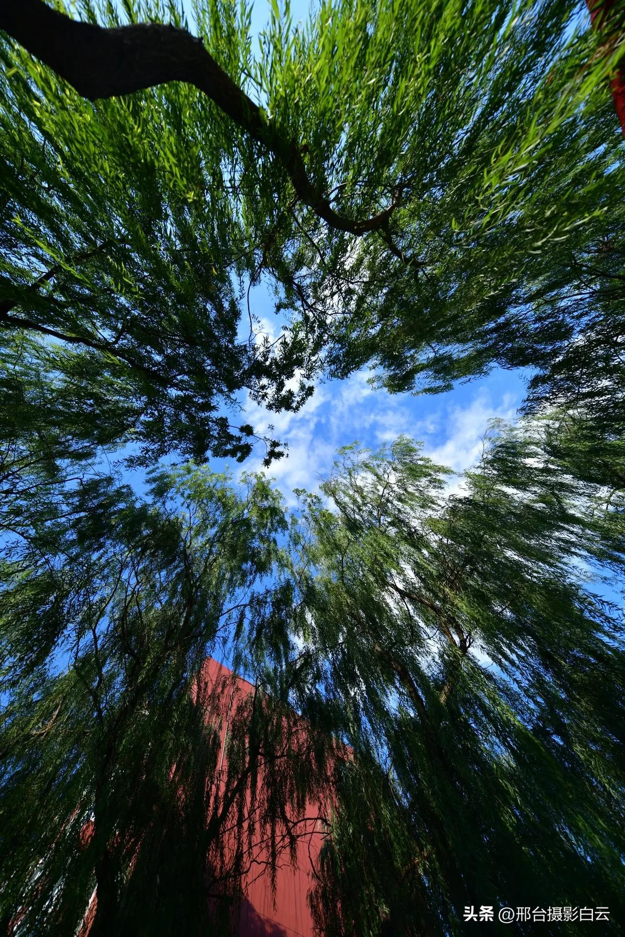 处暑
处暑时节是出暑，天地乾坤始渐肃。
鹰隼捕禽禾黍熟，风轻虫咽云飞渡。#亲友们