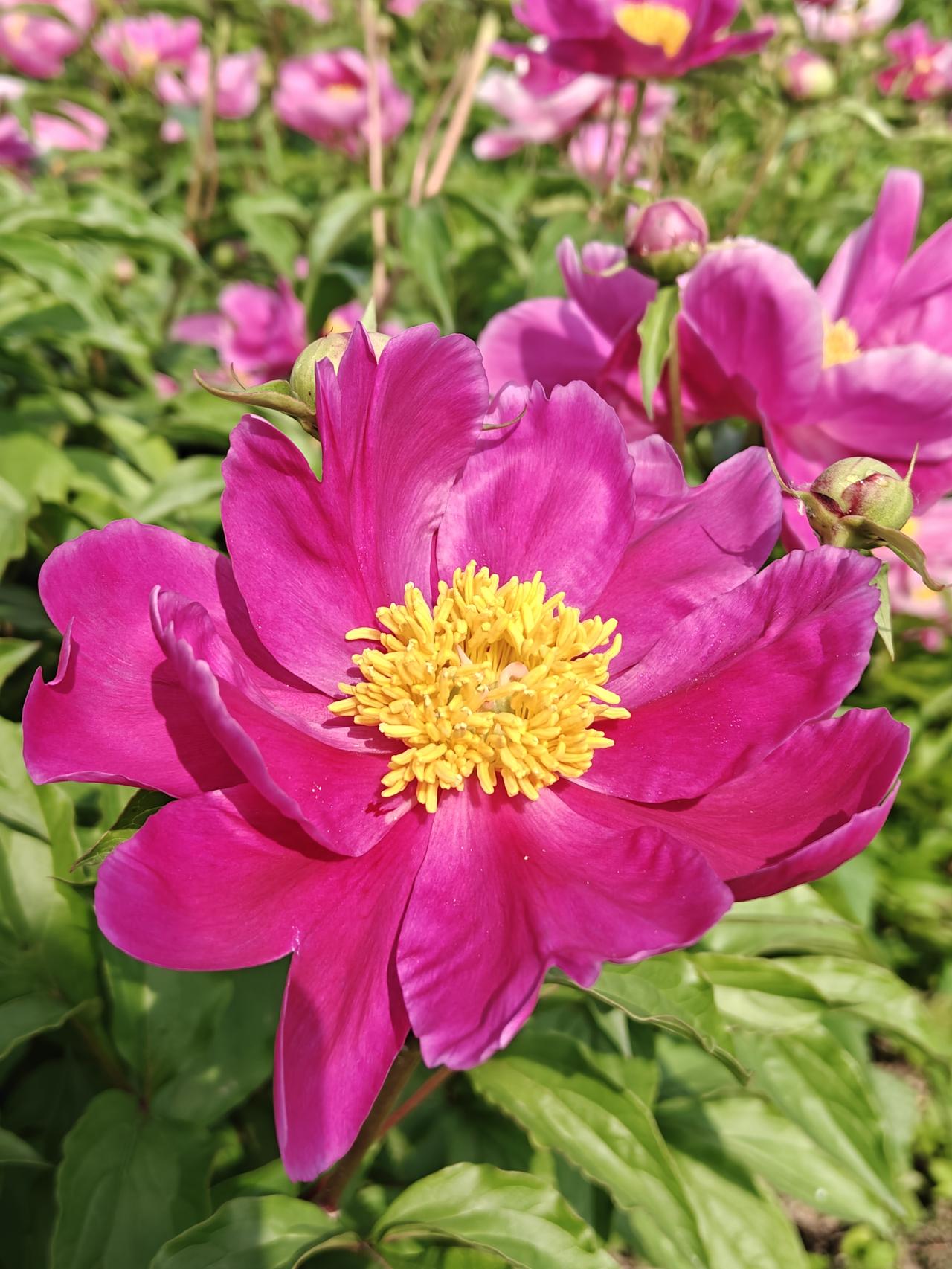 年过半百的女人
请好看你的老公和孩子吧
不要因为你老公的平庸失望了
只要他有个班