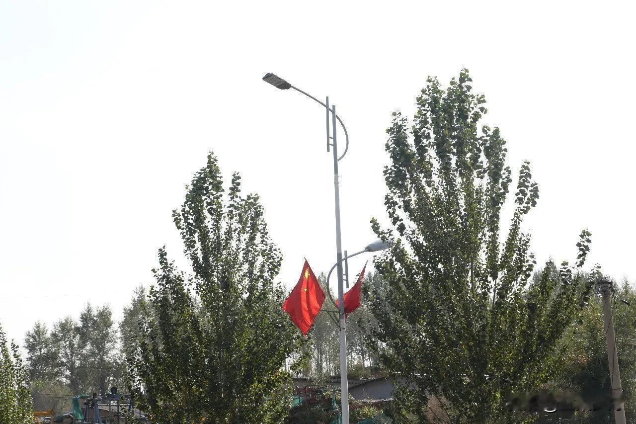 总觉得现在有点搞形式主义工程，领导开会时讲的和实际行动做的差距很大，什么乡村振兴