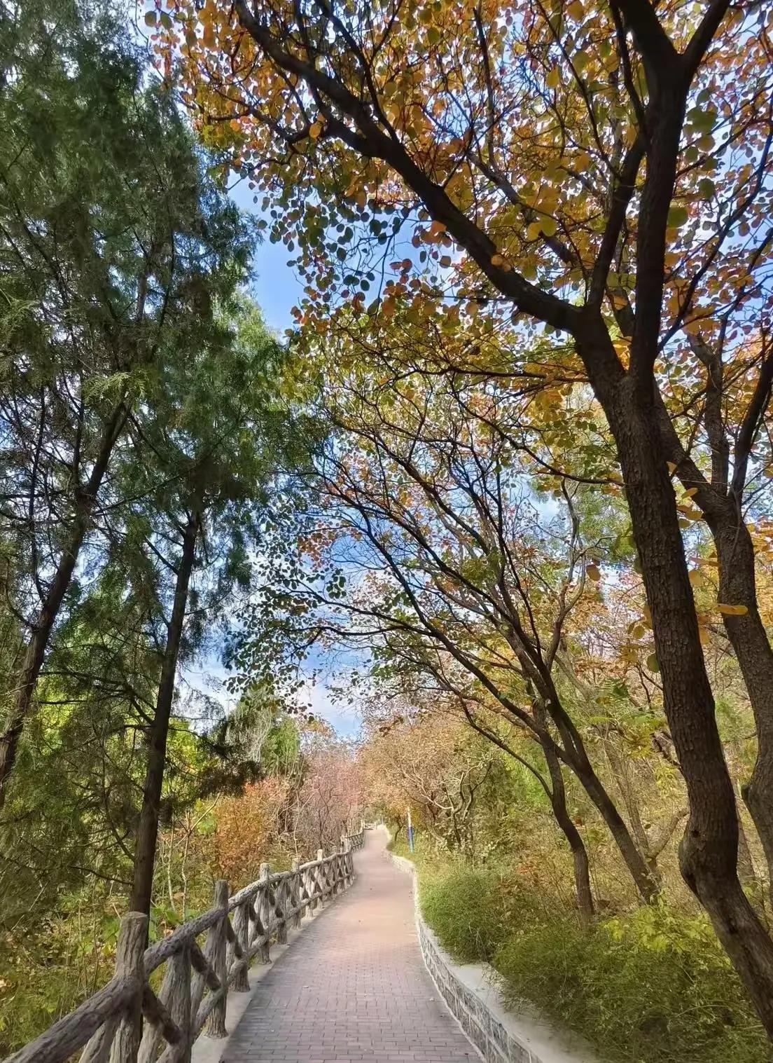 保持对生活的热忱，把每一天活的热气腾腾