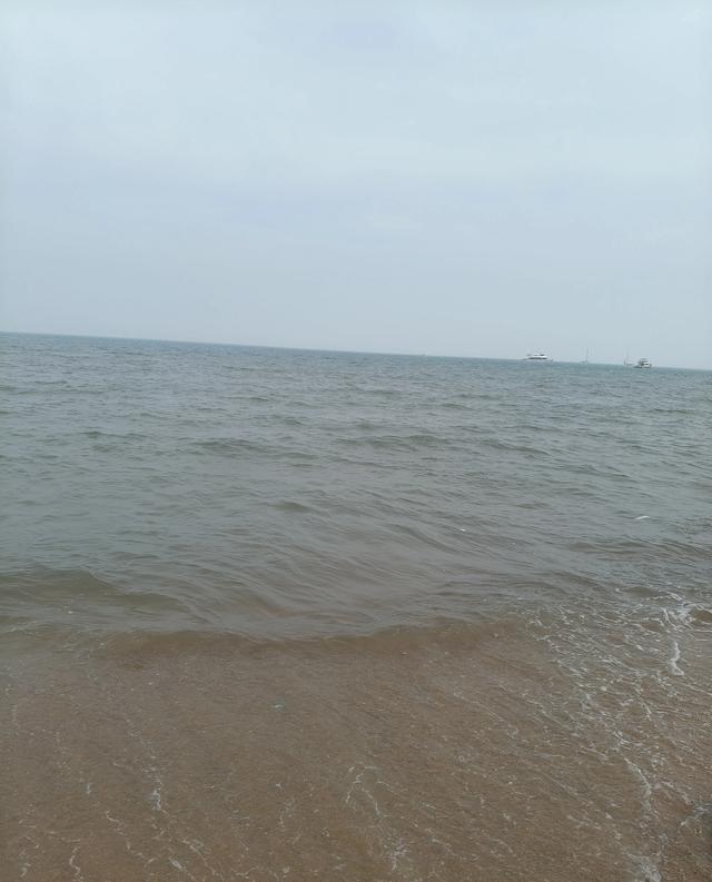 那个网红真的太真实了，家里没矿没背景，就是普通打工人出身。别人直播炫富，他在出租