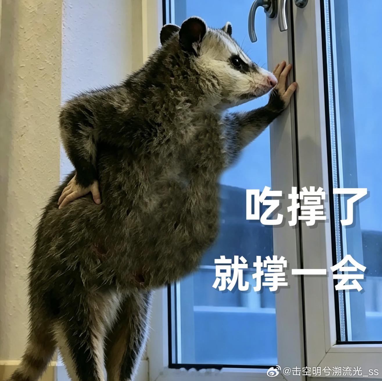 人类减肥1亿斤对火星移民影响有多大网友喊话马斯克火星移民前先减重 完了，超重星人
