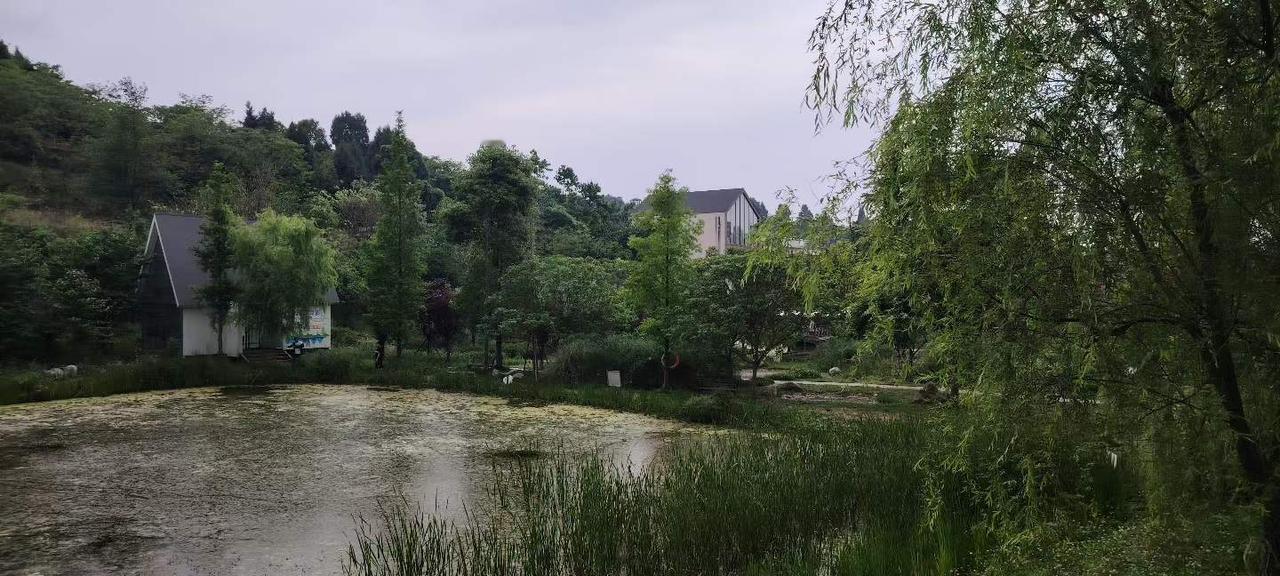 龙泉山新见山书院，又一个非遗展示馆成立，有点偏，但是环境比较优雅安静。
图文原创
