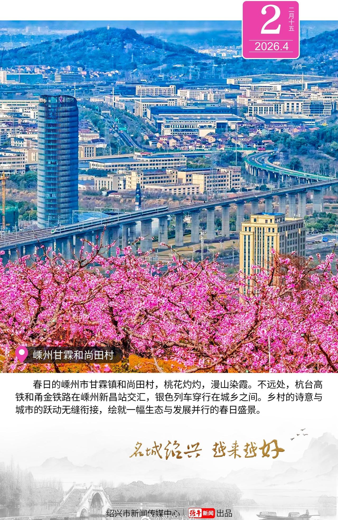 ·桃花灼灼映新城 ​​​