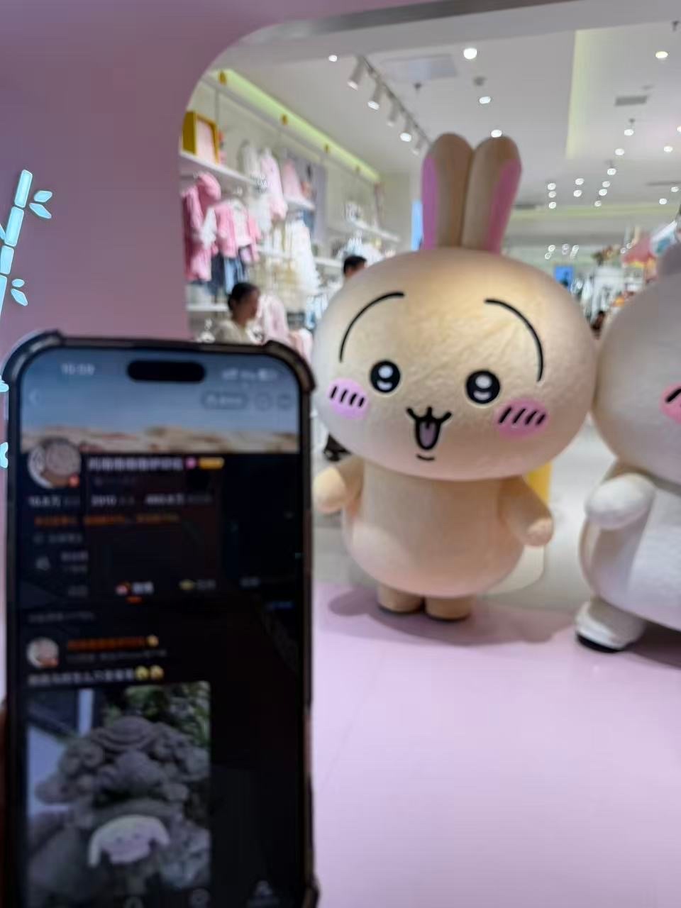 呜噜噜我帮你带萌猪的id了 