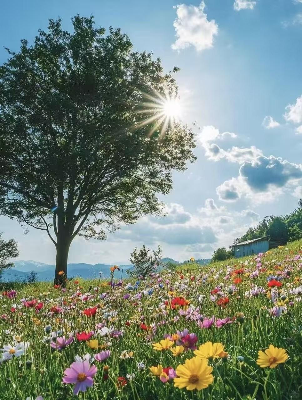 一人承担家务，可能无法保证家务完成的及时性。[呲牙][呲牙][鼓掌][鼓掌]而且