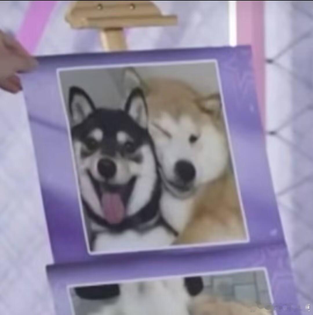 超燃青春的合唱太可爱了 完全一样啊！ 