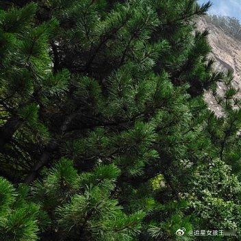 #每日一善[超话]#走好选择的路，别选择好走的路，你才能拥有真正的自己。努力过好