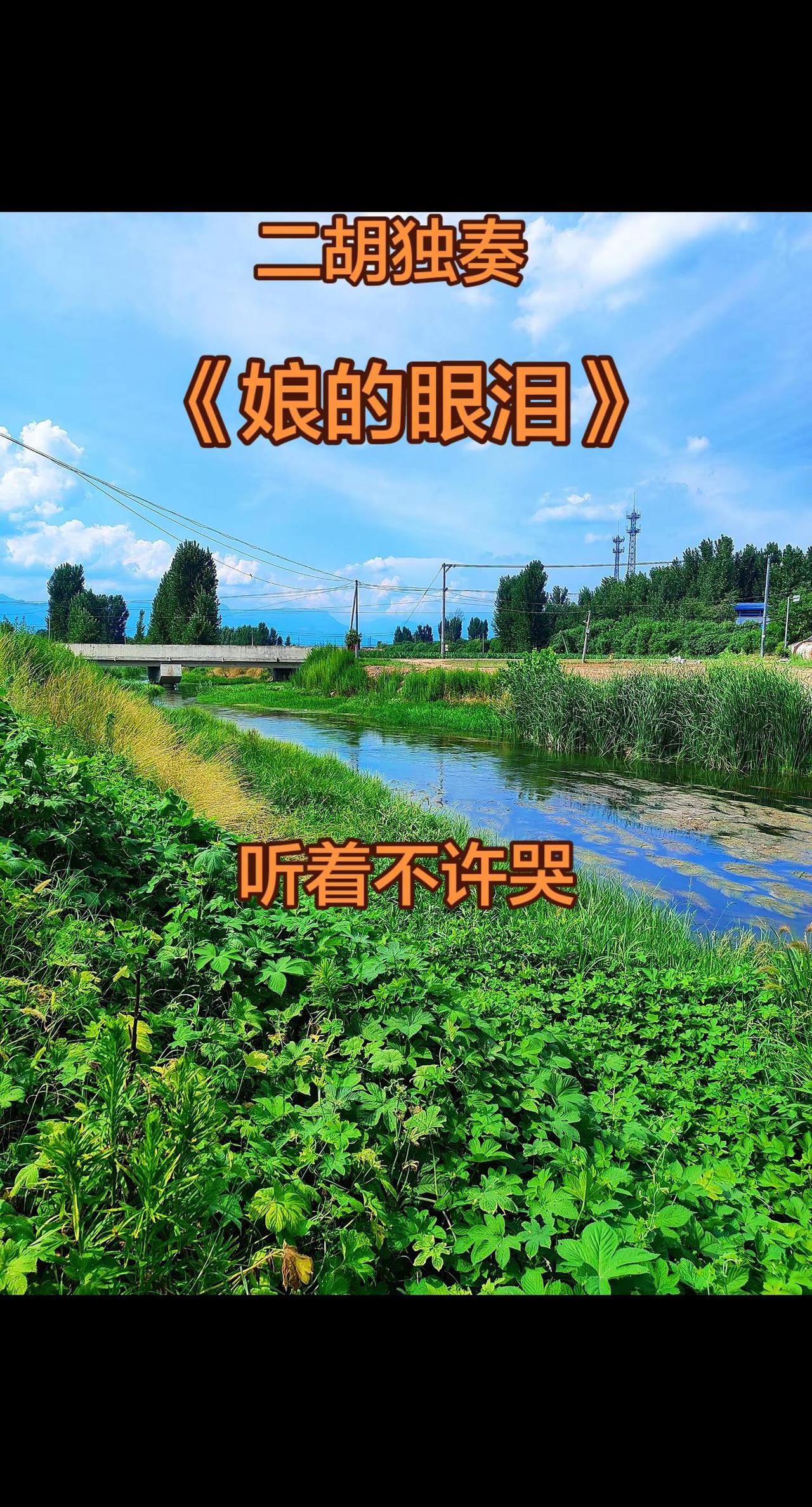 二胡独奏《娘的眼泪》听到心里头低沉.悲伤.动人感到心酸