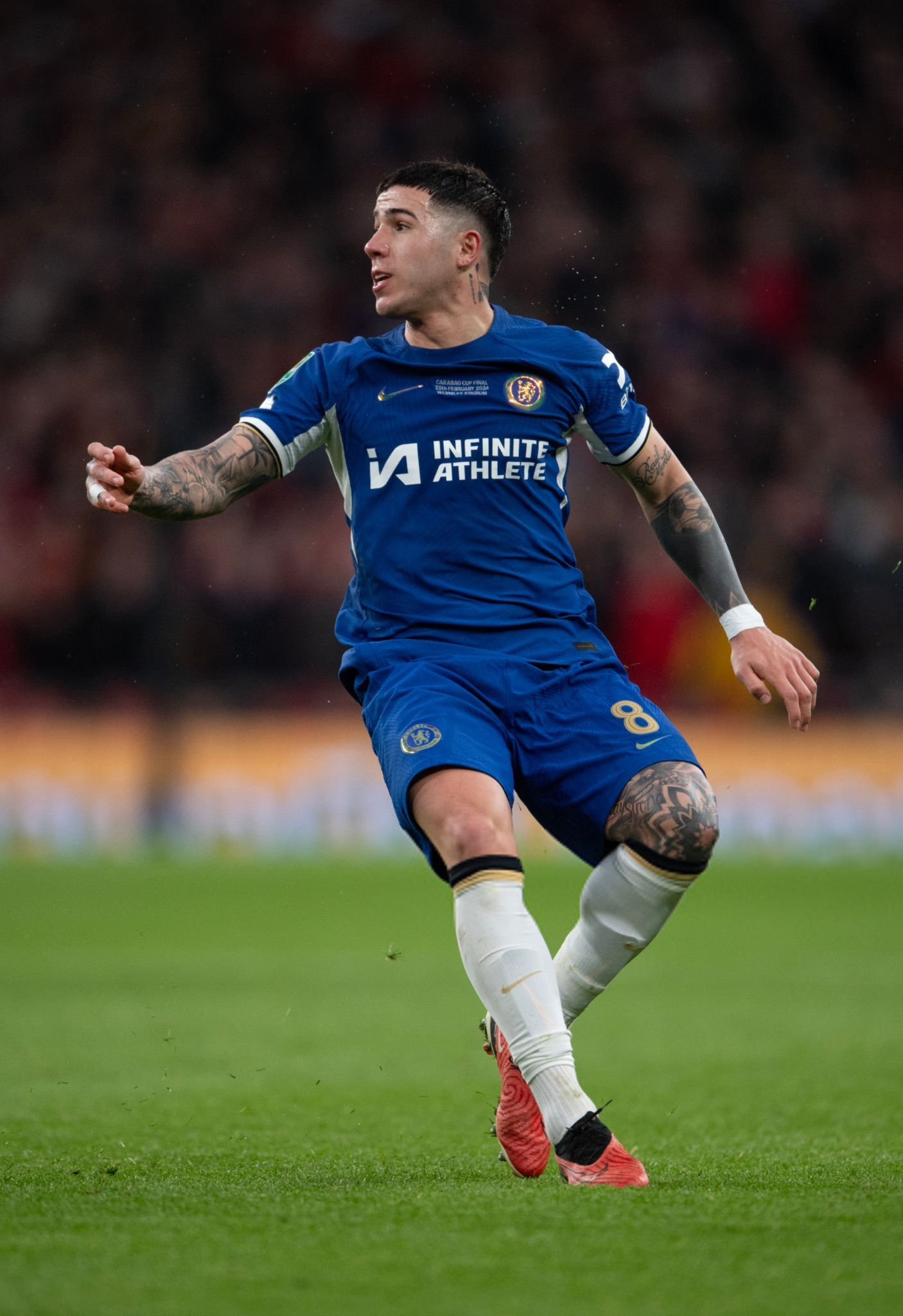 【还是先手术养伤吧[允悲][允悲][允悲]】🌕记者最新消息：恩佐·费尔南德斯正