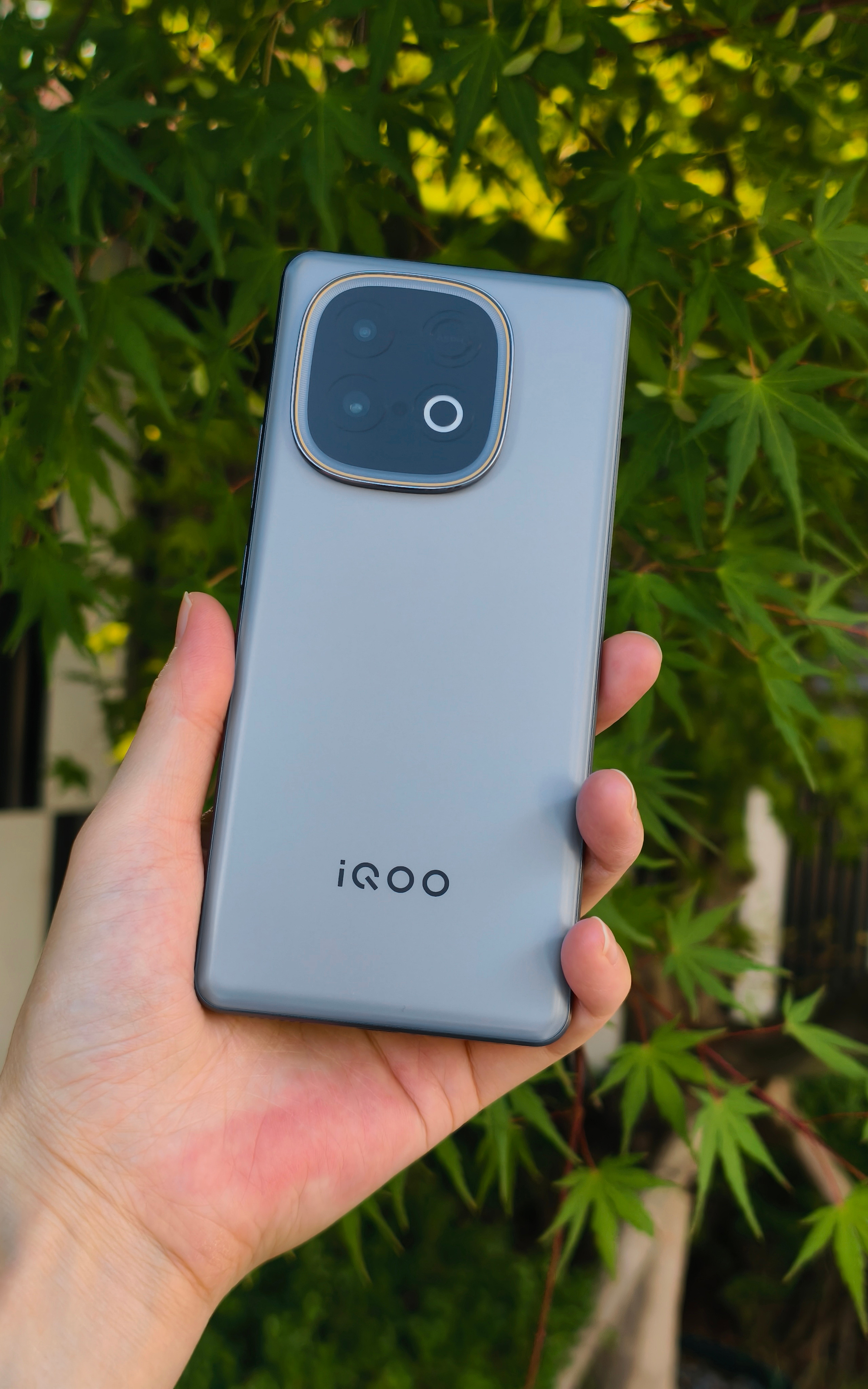 iQOO Z10 Turbo+ 「极地灰」配色[羞嗒嗒]国补后到手1870元起，