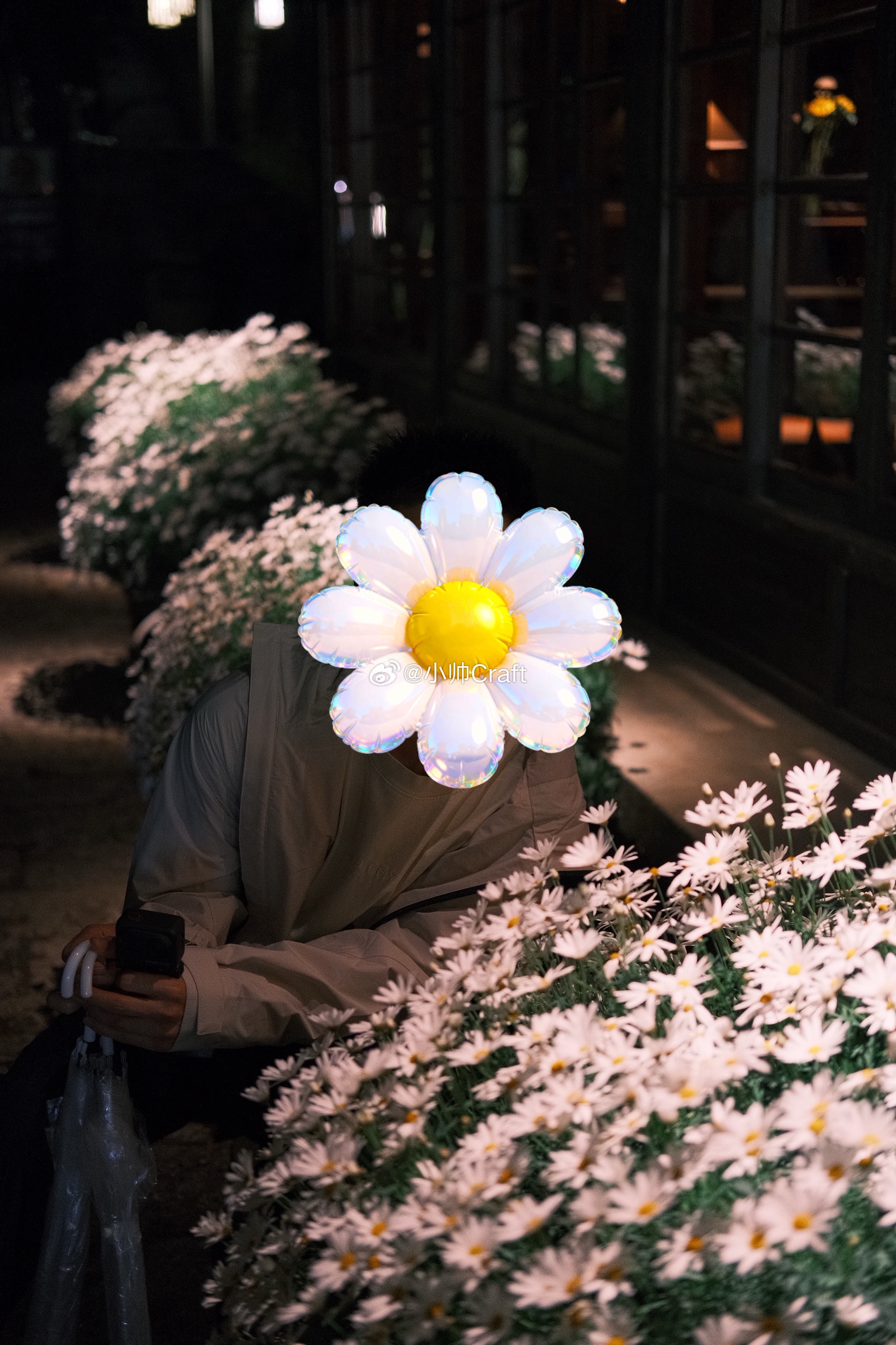 上次在丽江，路边好多小雏菊！路过一个帅气的白衣小哥，突然说“好多权志龙啊”！正在