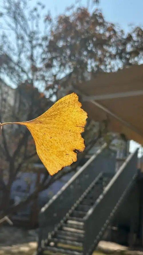 热爱的东西越多支点就越多主动去接触新鲜事物，收获不一样的热爱，这些支点交织在一起