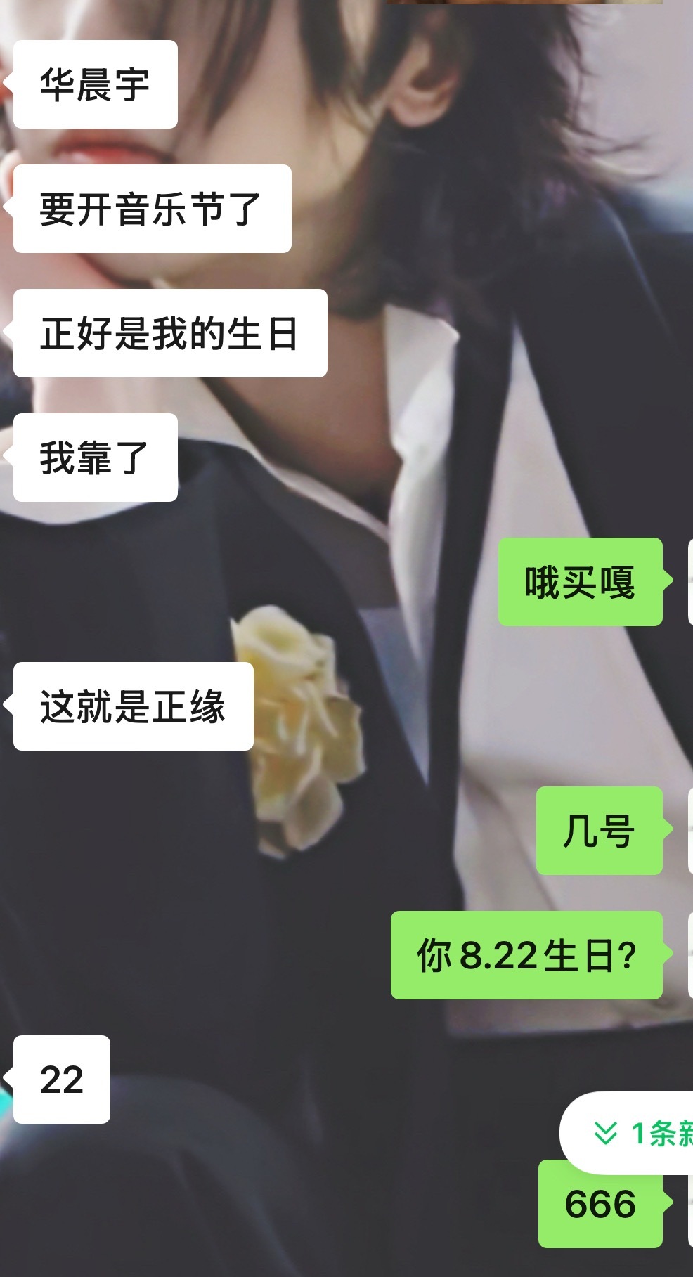 当我妹得知晨宇要去烟台音乐节
