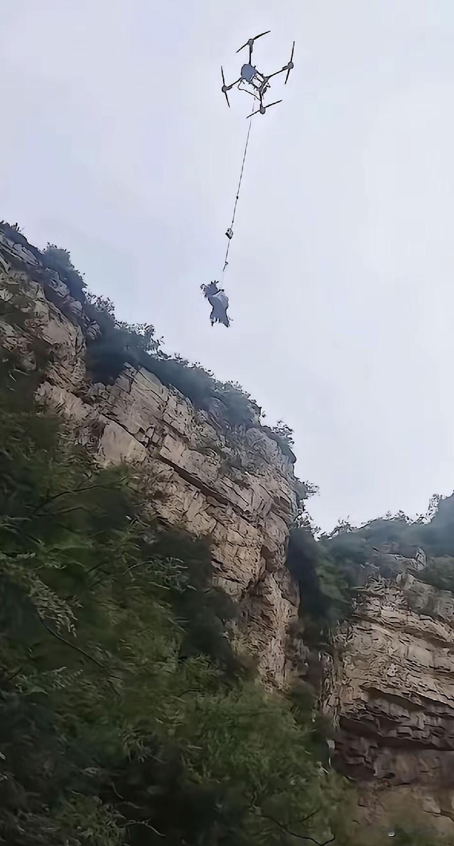 陈梦圆，一夜之间全国人都知晓了的名字。只有社会主义制度的中国，只有人间大爱的社会