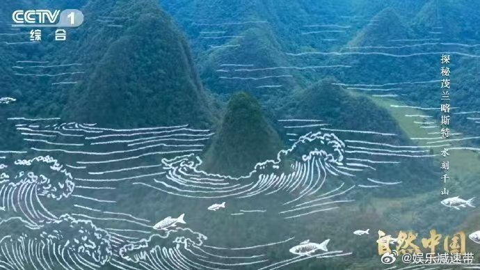 原来贵州曾是大海 贵州山顶发现亿万年前珊瑚化石 贵州茂兰白岩坡山顶，石炭纪珊瑚化