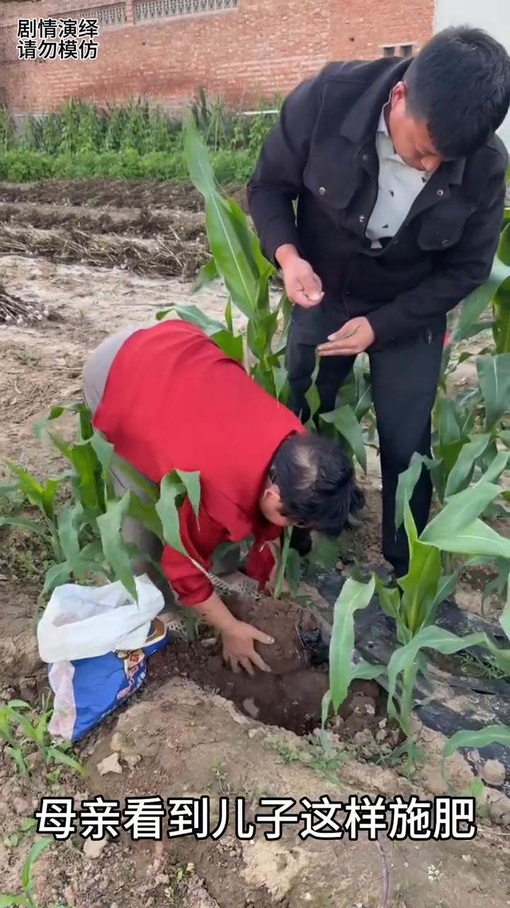 儿子给玉米施肥和别人不一样，下一秒母亲看到赶紧阻止他。
母子两个给玉米施肥，只见