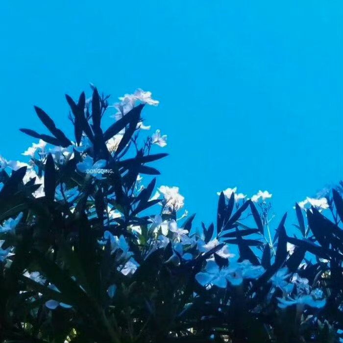 每日一善[超话] 💕每日一善💞阳光信用善虽小，每日积累， 多年后，积善如山。