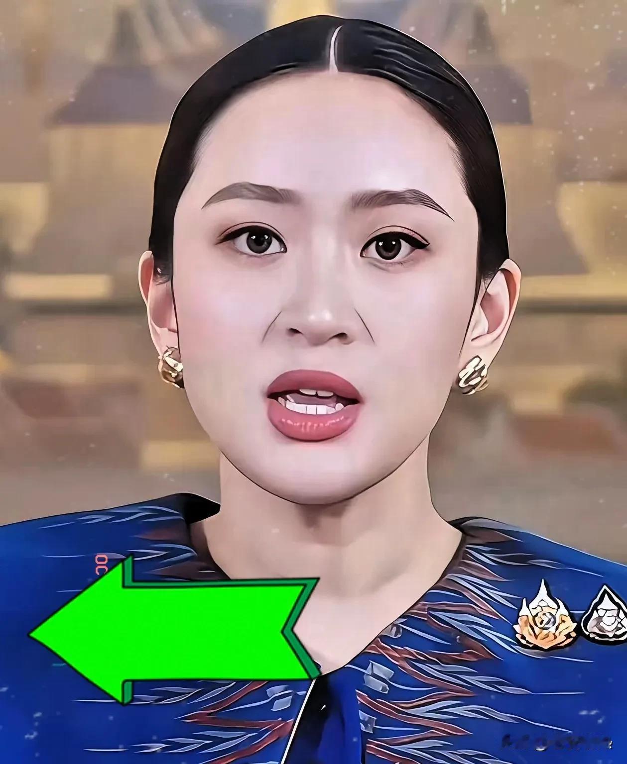 最新消息！
佩通坦宣布辞职！
10月22日，佩通坦宣布辞去为泰党党魁职务。该党2