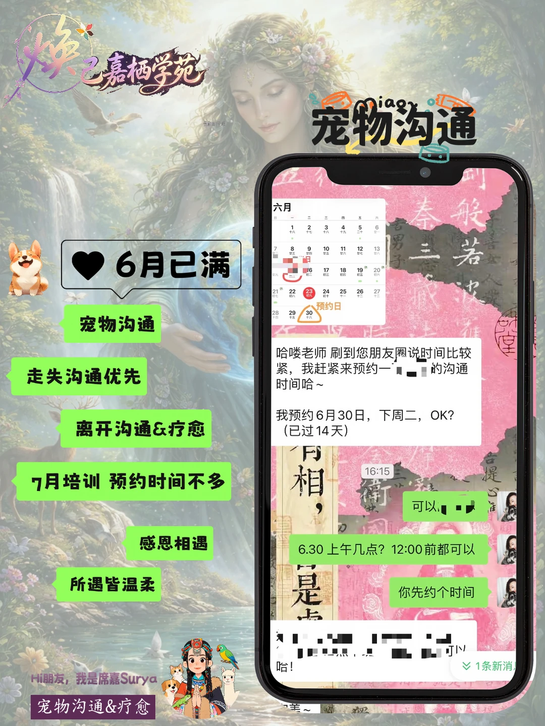 宠物沟通｜毛孩子渴望与你连接表达爱