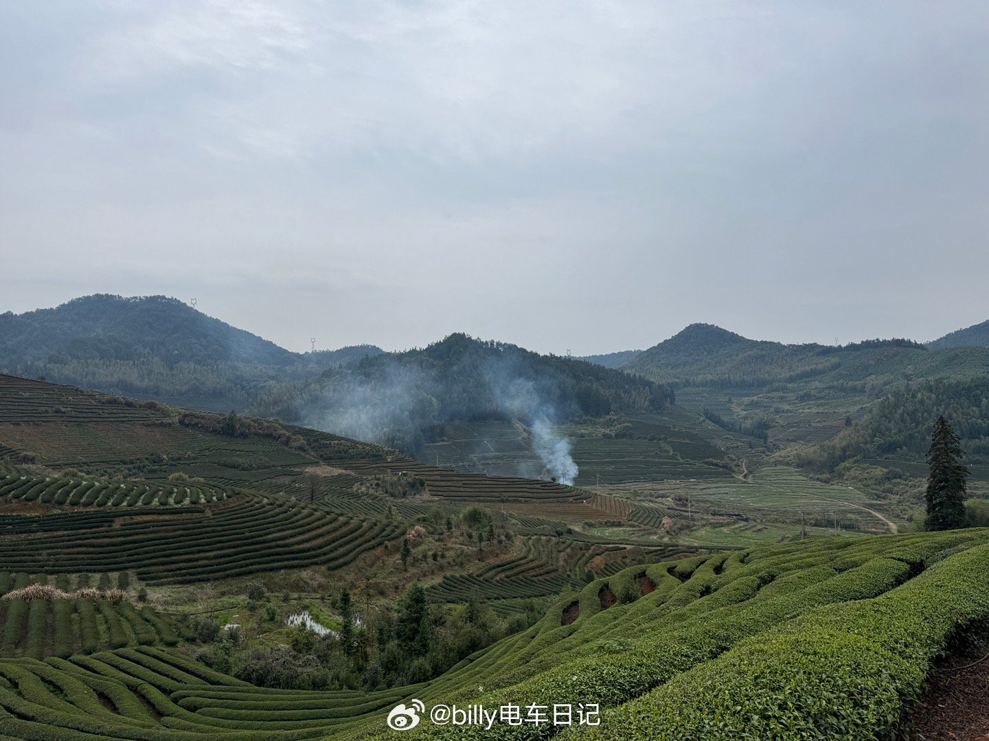 刚才来武夷山机场的路上和司机聊天，聊到武夷山的茶叶，我以为会完全不愁销，没想到他